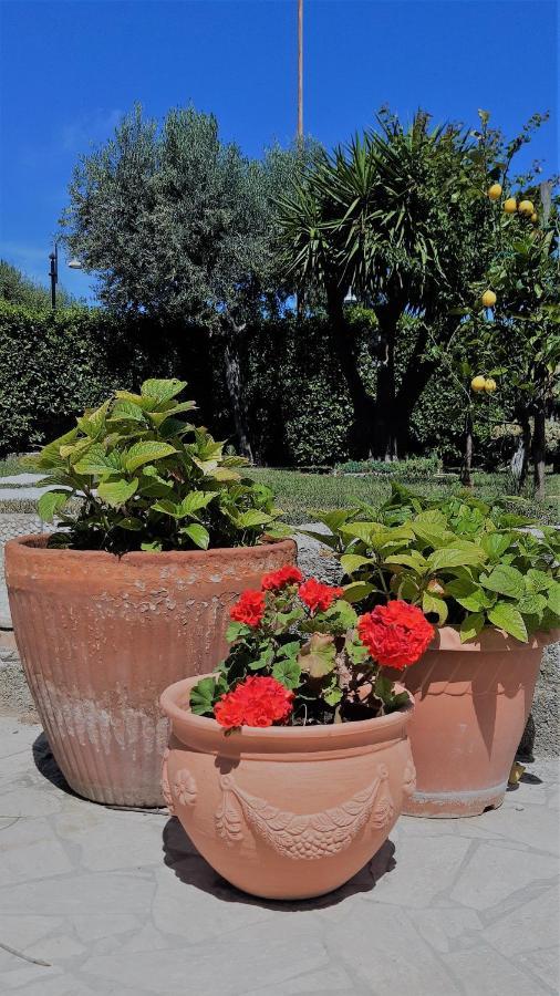 A Casa Di Nonna B&B Tortoreto Exterior foto