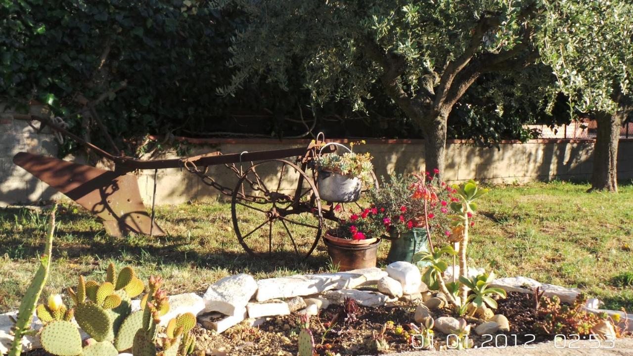 A Casa Di Nonna B&B Tortoreto Exterior foto